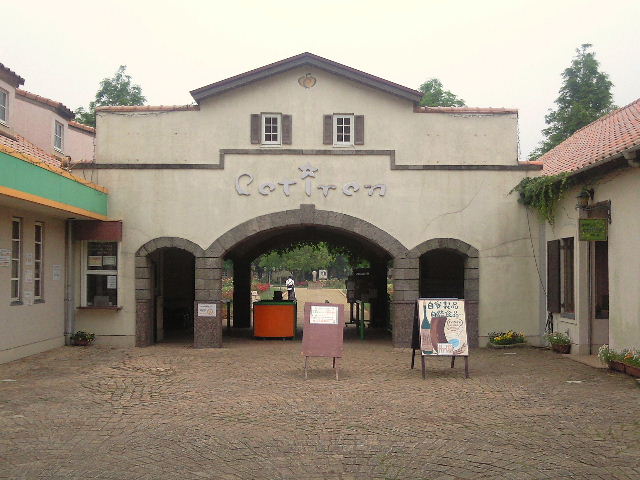 e0064133_191069.jpg