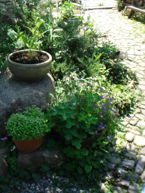 c0100534_20364730.jpg