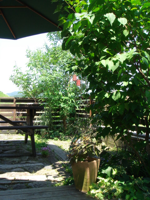 c0100534_2038244.jpg