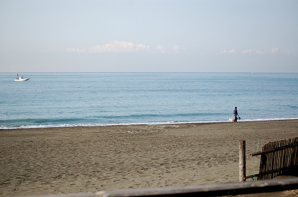 d0123346_17423953.jpg