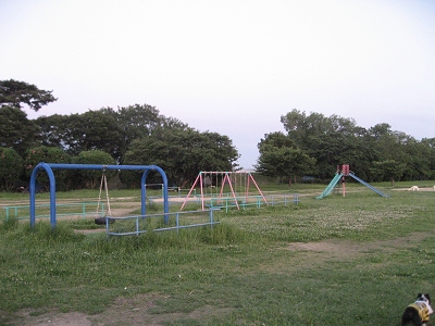 e0126046_12231245.jpg