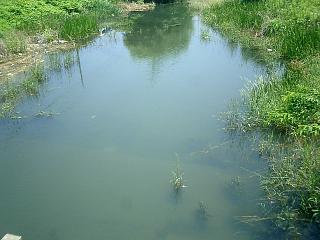 c0019951_17404923.jpg