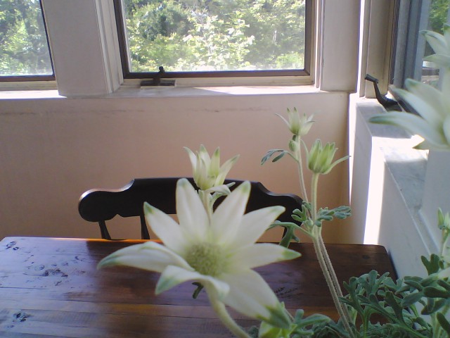 c0031856_2202620.jpg