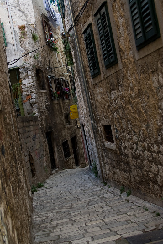 d0002958_4355731.jpg