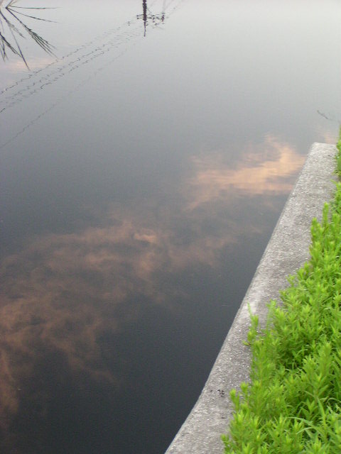 f0074659_2295845.jpg