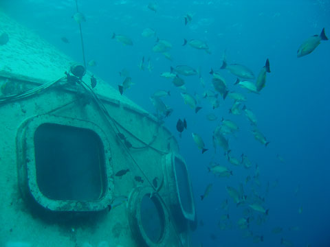 d0056263_10575.jpg