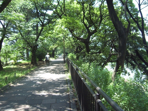 b0138581_2059275.jpg