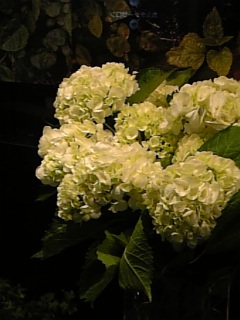 c0036283_024574.jpg