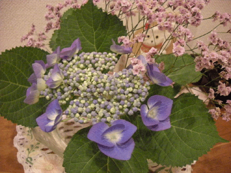 e0066883_19484399.gif