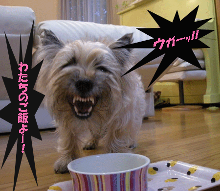 e0066883_20111266.gif
