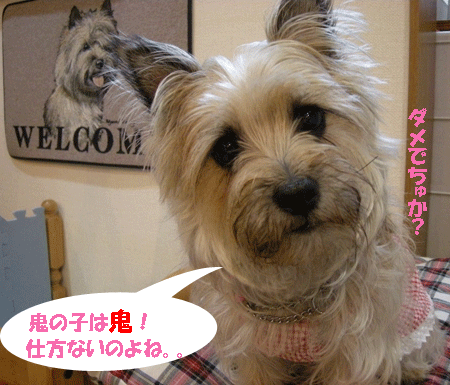 e0066883_20143164.gif