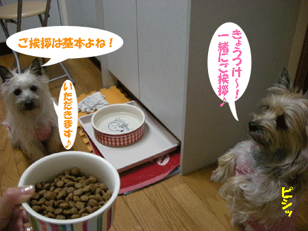 e0066883_20235364.gif