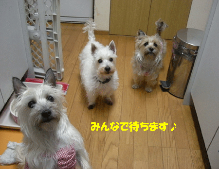 e0066883_203419.gif