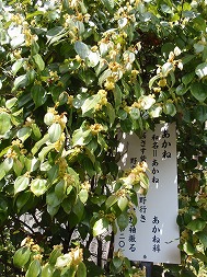 c0105785_1053670.jpg