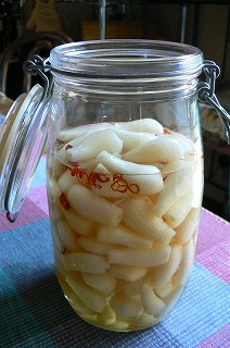 f0079289_14284035.jpg