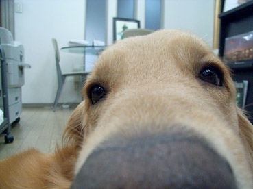 c0096393_0105441.jpg