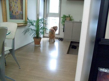c0096393_061315.jpg