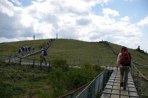 a0078106_15562844.jpg