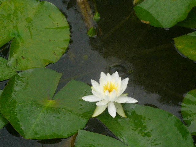 e0026017_21272774.jpg