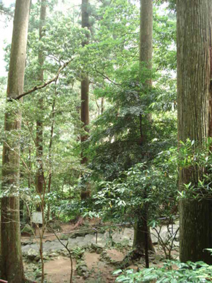 e0110719_10313861.jpg