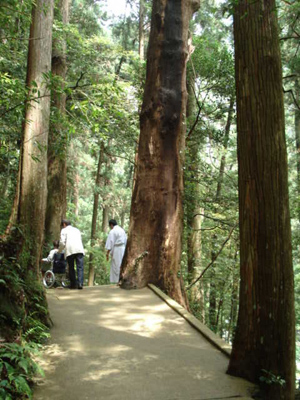 e0110719_10324665.jpg