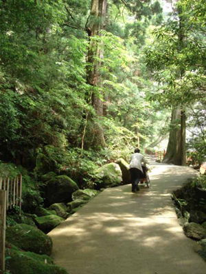 e0110719_1032638.jpg