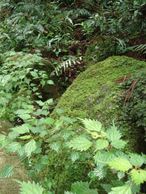 e0110719_11234363.jpg