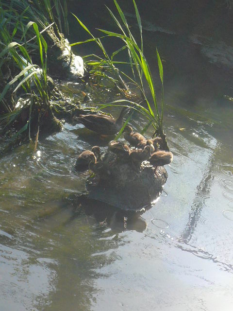 f0163920_0214879.jpg