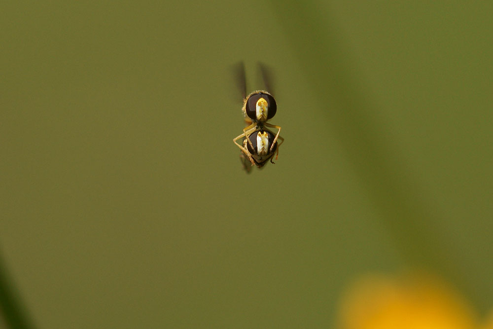 d0089024_104399.jpg