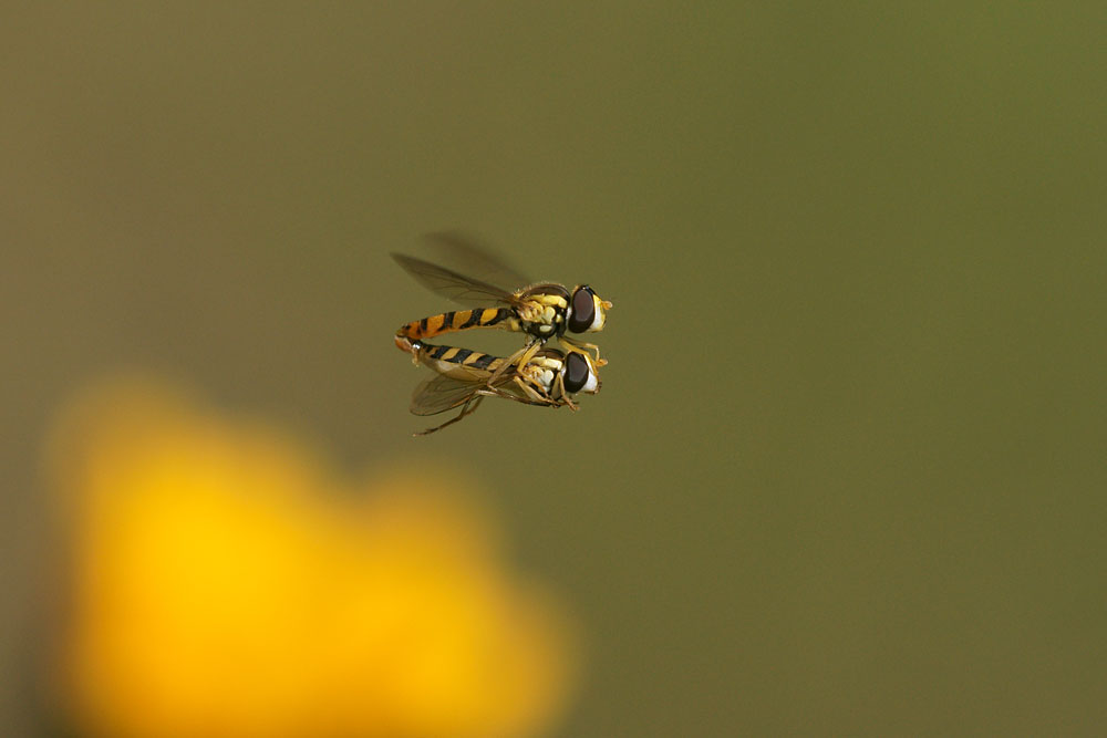 d0089024_107929.jpg