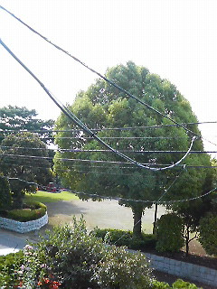 f0054926_8413561.jpg