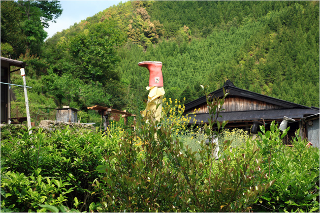 d0147530_7173857.jpg