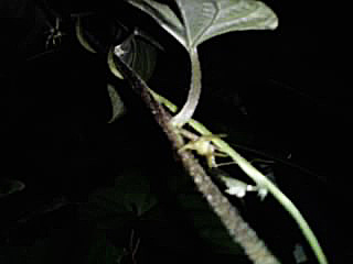 b0142435_22503291.jpg