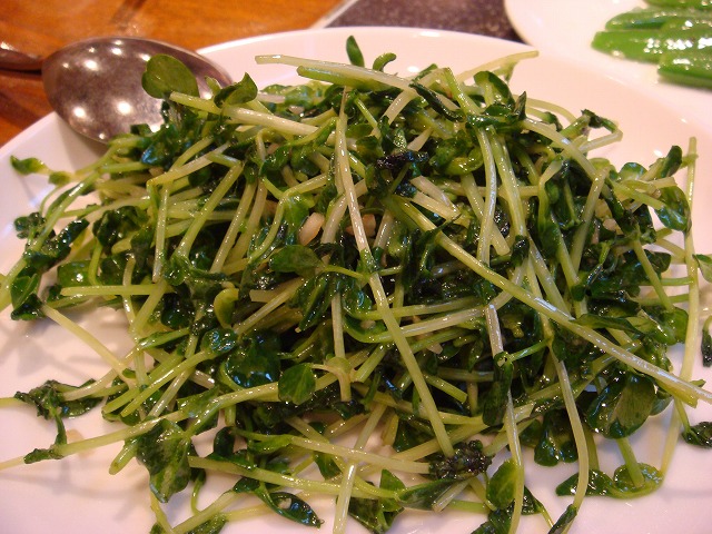 a0046339_2224625.jpg