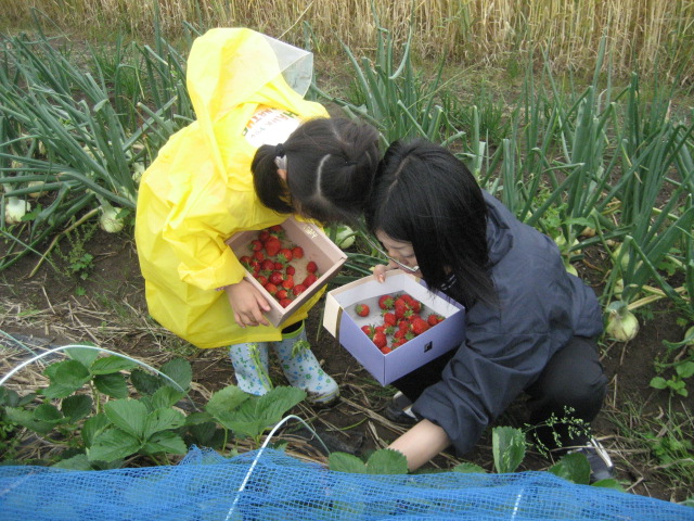 f0025741_18451343.jpg