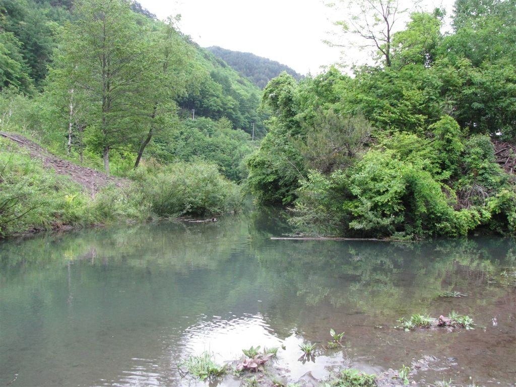 f0151044_20185261.jpg