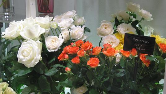 b0028845_9133412.jpg