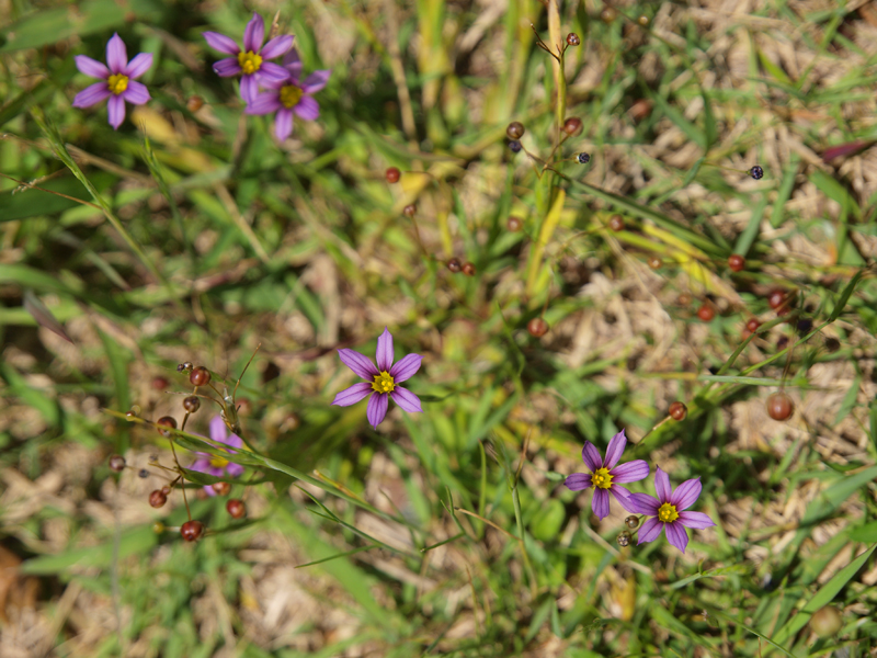 b0135347_2221187.jpg