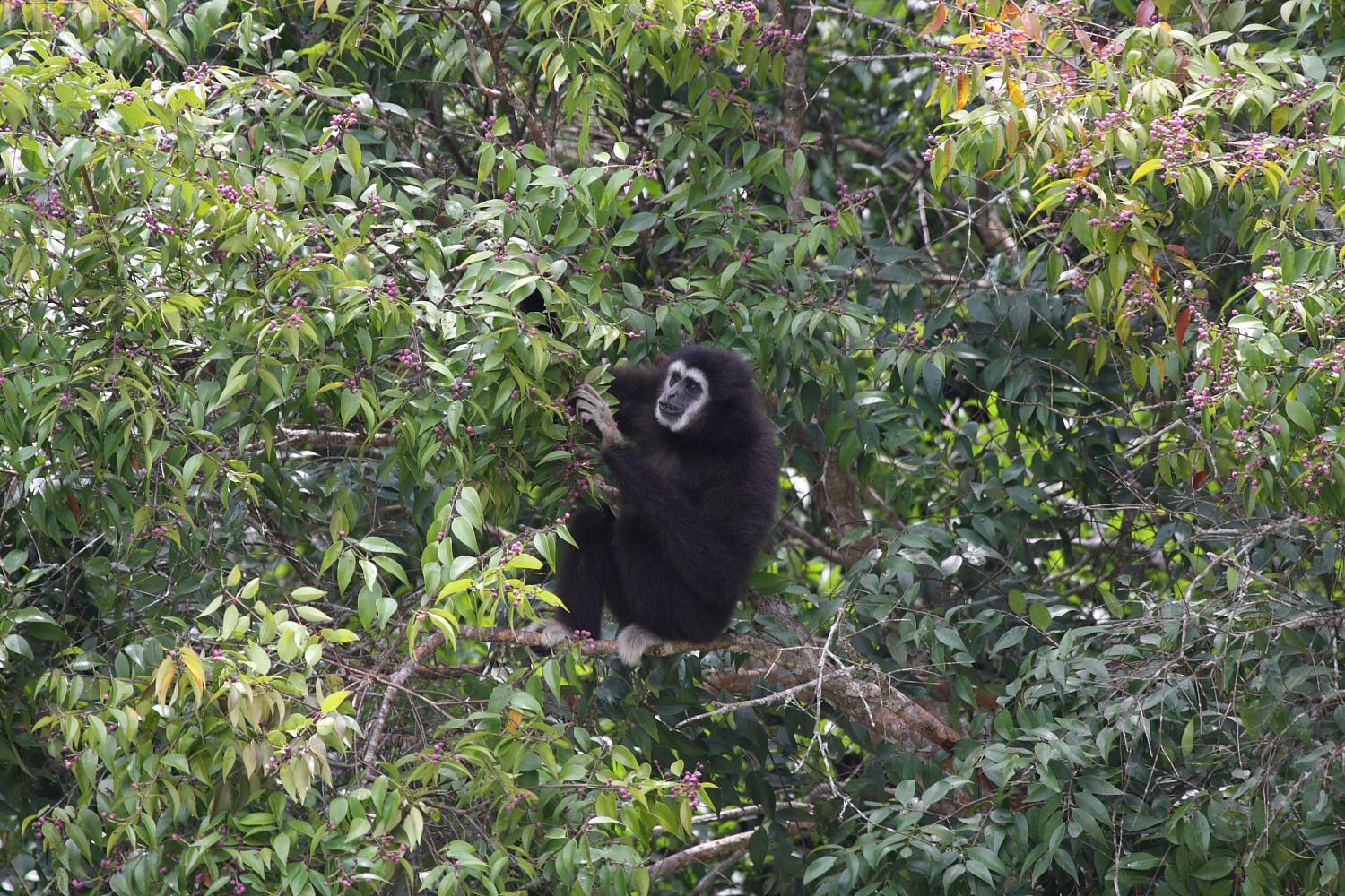 a0094850_9165586.jpg
