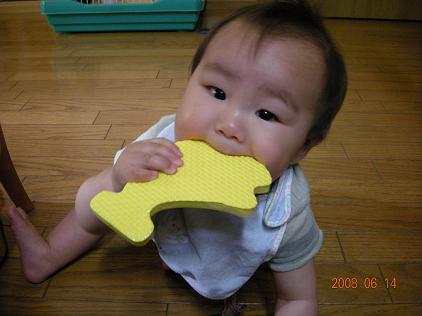 b0039362_21245650.jpg