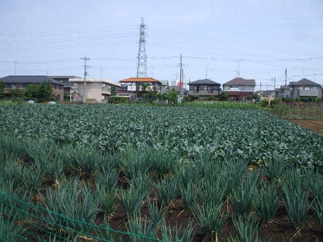 f0131165_23145465.jpg