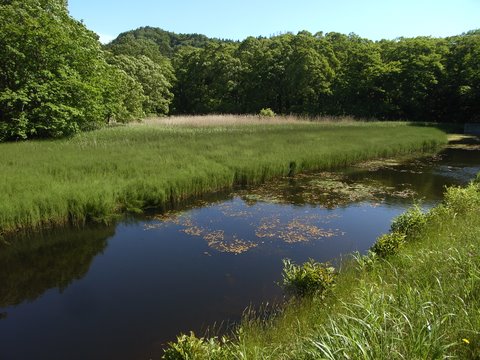 b0130166_1224721.jpg