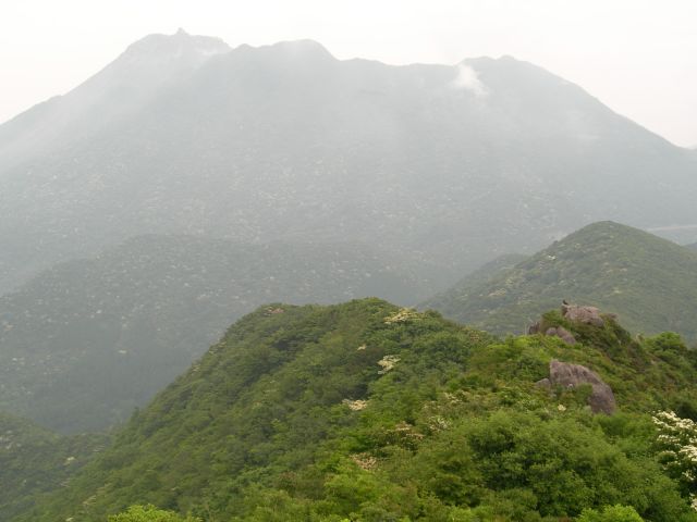 c0042869_21113025.jpg