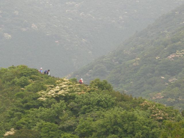 c0042869_21125666.jpg