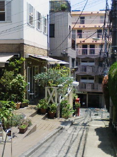 f0112873_229294.jpg