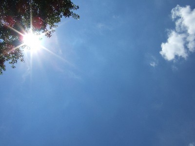 b0131774_10125420.jpg