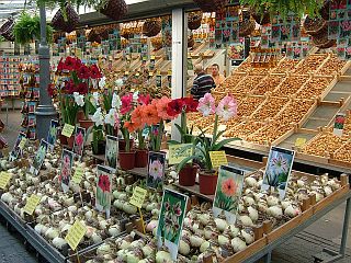 e0022175_1213121.jpg