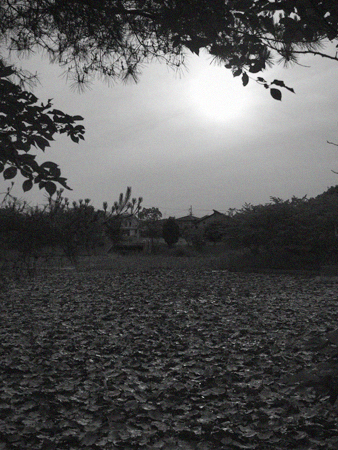 f0167977_184733100.jpg