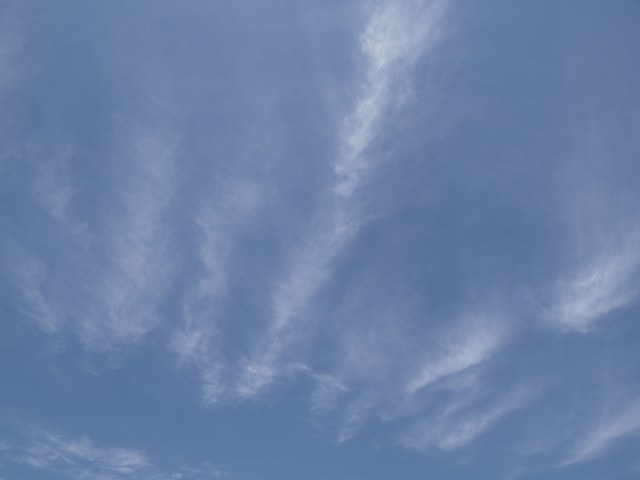 c0136092_2332730.jpg