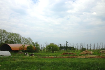 e0010495_6302563.jpg